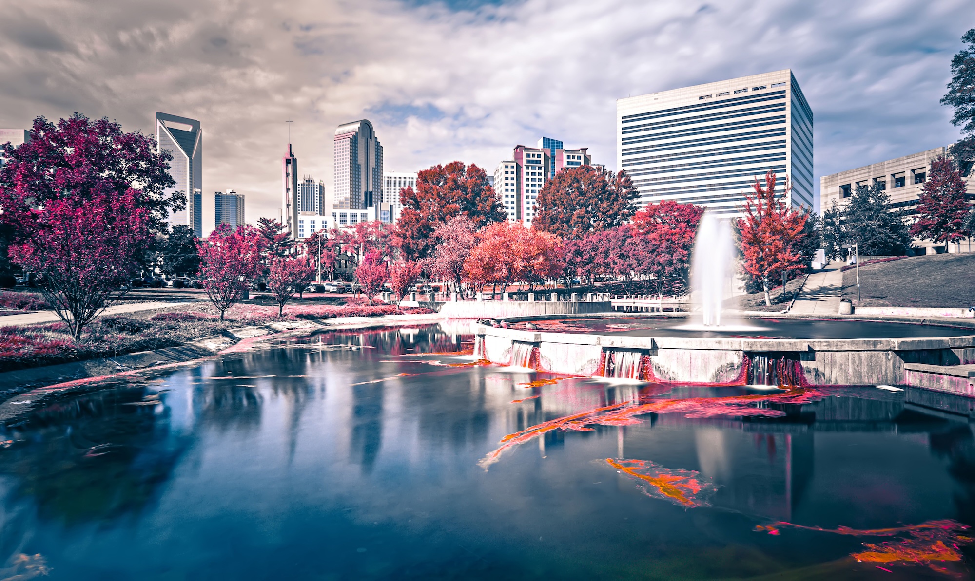 Charlotte NC Skyline